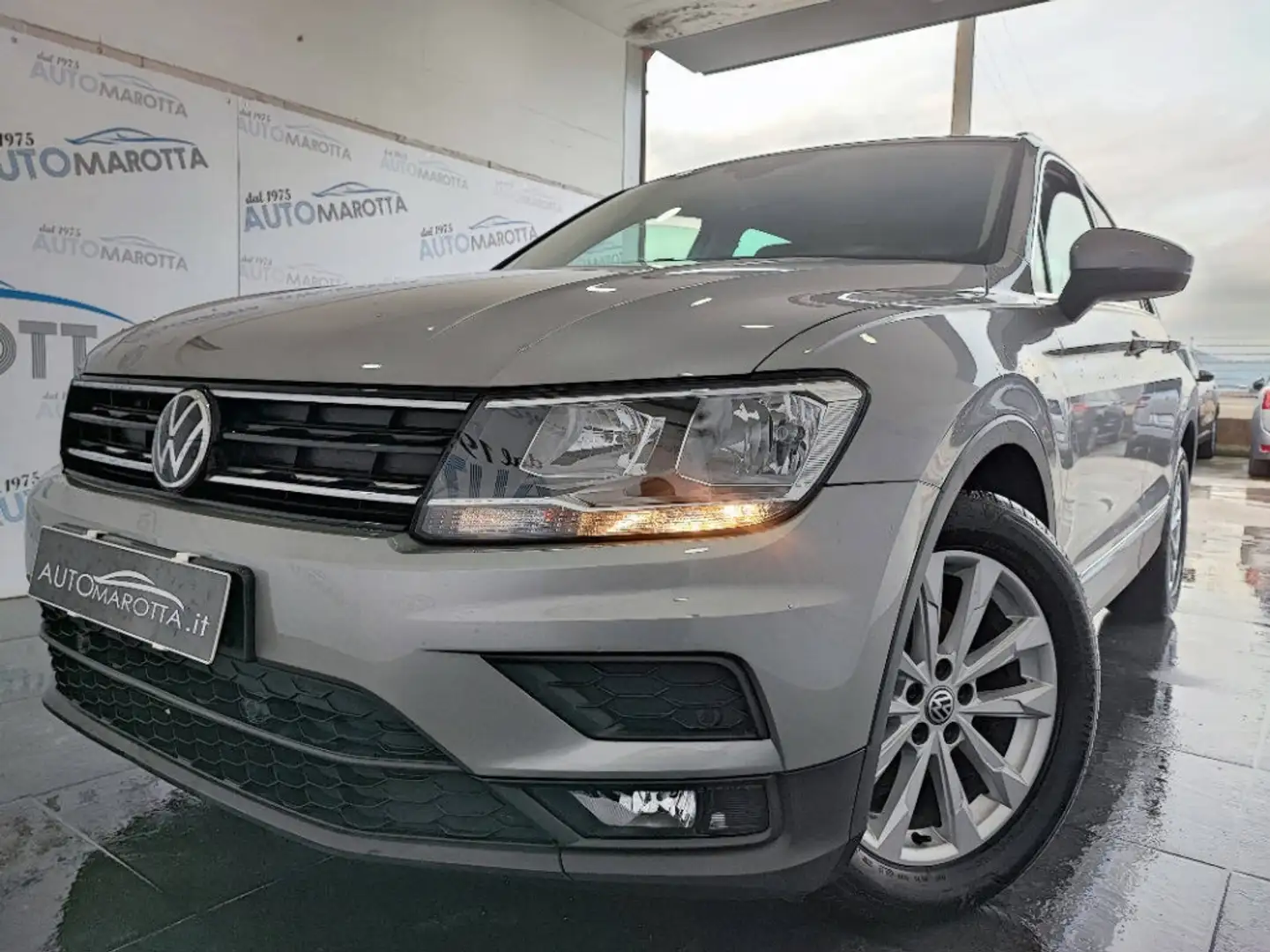 Volkswagen Tiguan 1.6 tdi Business 115cv Bianco - 2