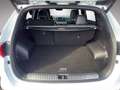 Kia Sportage GT-Line 1.6 TGDI DCT7 AWD 177 Weiß - thumbnail 20