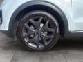 Kia Sportage GT-Line 1.6 TGDI DCT7 AWD 177 Weiß - thumbnail 6