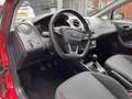 SEAT Ibiza 1.2 TSI Sport FR 105 PK / PANO / 88.000 km Rood - thumbnail 17