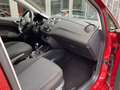 SEAT Ibiza 1.2 TSI Sport FR 105 PK / PANO / 88.000 km Rood - thumbnail 4