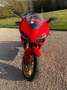 Ducati 1098 Czerwony - thumbnail 9