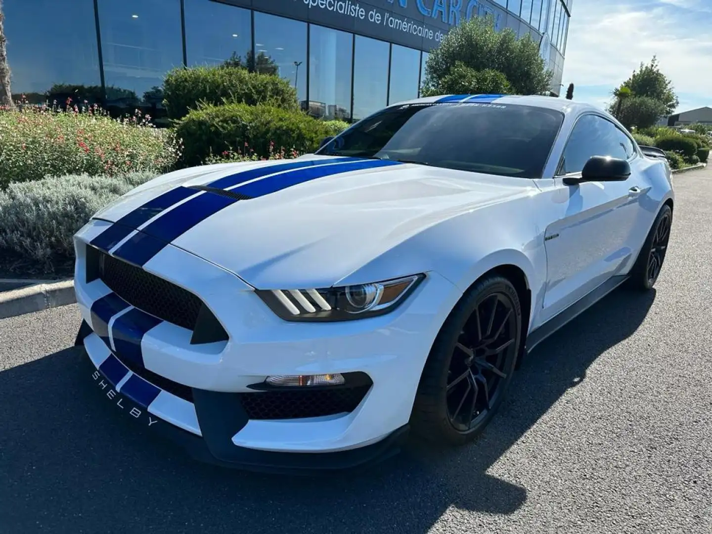 Ford Mustang Shelby GT350 V8 5.2L Weiß - 1