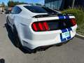 Ford Mustang Shelby GT350 V8 5.2L Weiß - thumbnail 3