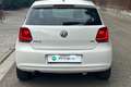 Volkswagen Polo Polo 1.6 TDI 90CV DPF 5 porte Highline Wit - thumbnail 6