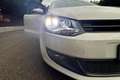 Volkswagen Polo Polo 1.6 TDI 90CV DPF 5 porte Highline Wit - thumbnail 9