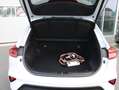 Kia XCeed 1.6 GDi 140PK PHEV ExecutiveLine | Full options Blanco - thumbnail 30