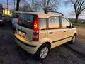 Fiat Panda Panda II 2006 1.2 Emotion eco Euro 4 *135.000 km* Gelb - thumbnail 4