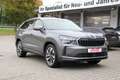 Skoda Kodiaq TDI DSG LED 7Sitze CAM Sitzheiz Memory 19Z Gris - thumbnail 1