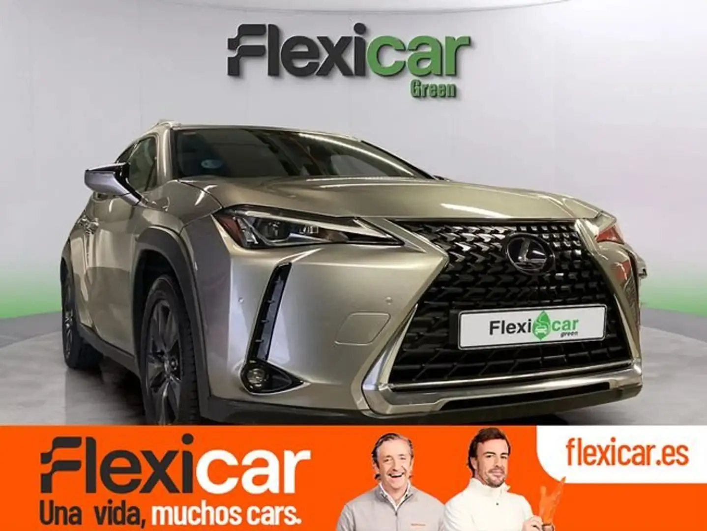 Lexus UX 250h 2.0 Business Gris - 1