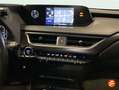 Lexus UX 250h 2.0 Business Gris - thumbnail 13