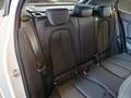 BMW 116 116d Business Advantage 5 PORTE - thumbnail 11
