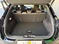 Ford Puma ST-Line 1,0EcoBoost Hybrid Schwarz - thumbnail 23
