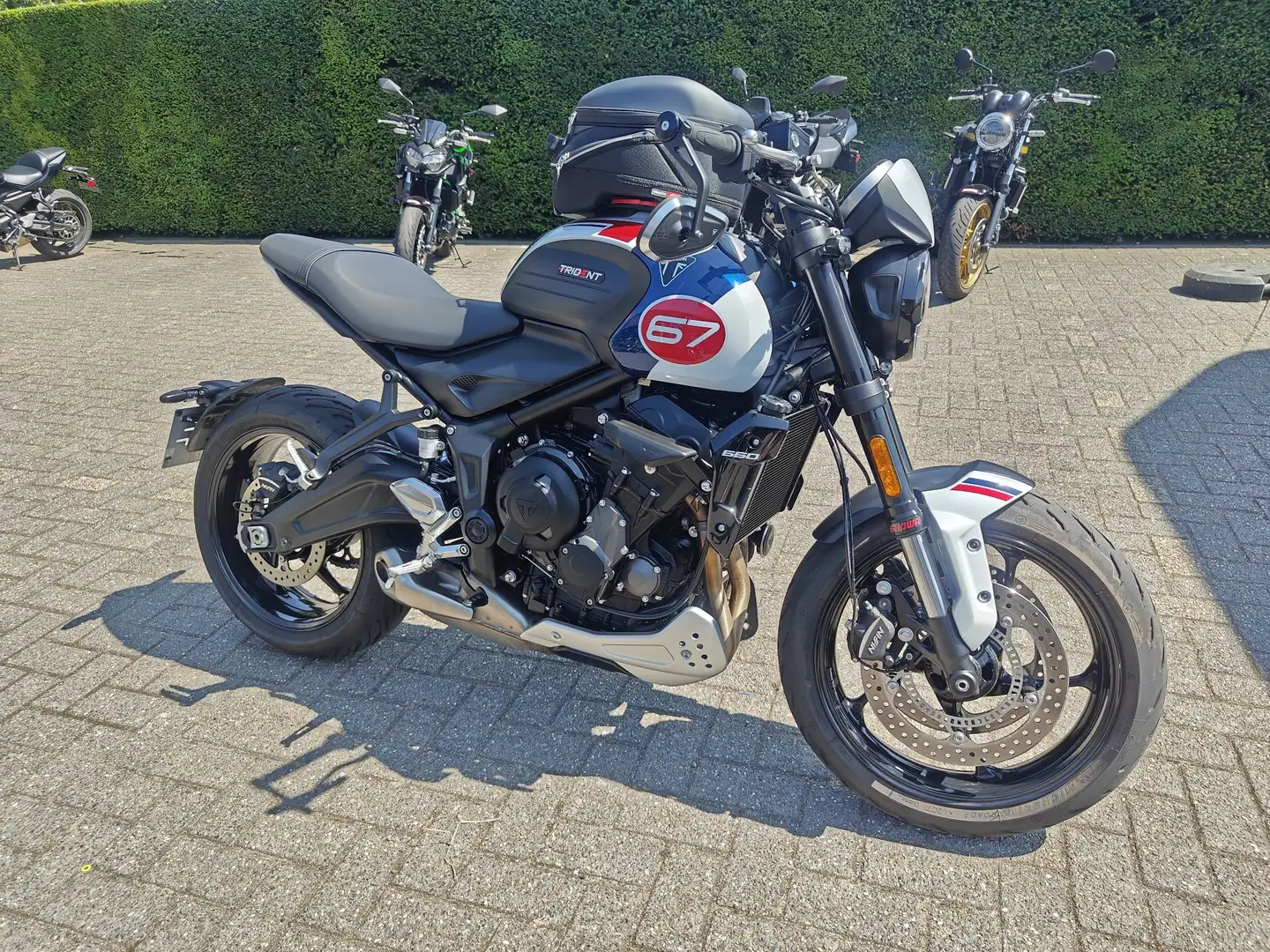 Triumph Trident 660 Triple Tribute Blanc - 1