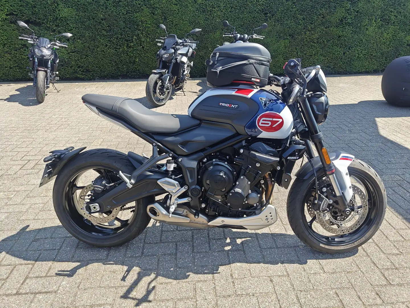 Triumph Trident 660 Triple Tribute Blanc - 2