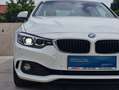 BMW 420 420 i xDrive Automatik Allrad Coupe Advantage Blanc - thumbnail 12