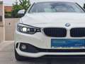 BMW 420 420 i xDrive Automatik Allrad Coupe Advantage Blanc - thumbnail 8