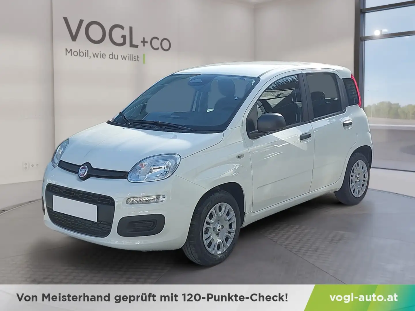 Fiat Panda FireFly Hybrid 65 Icon Weiß - 1