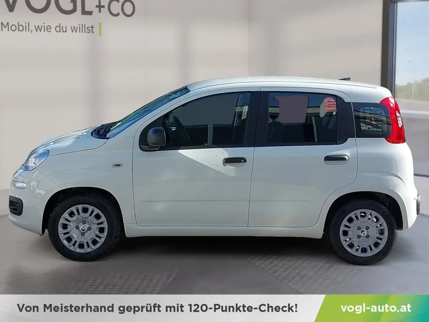 Fiat Panda FireFly Hybrid 65 Icon Weiß - 2