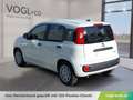 Fiat Panda FireFly Hybrid 65 Icon Weiß - thumbnail 3