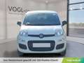Fiat Panda FireFly Hybrid 65 Icon Weiß - thumbnail 4