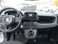 Fiat Panda FireFly Hybrid 65 Icon Weiß - thumbnail 8