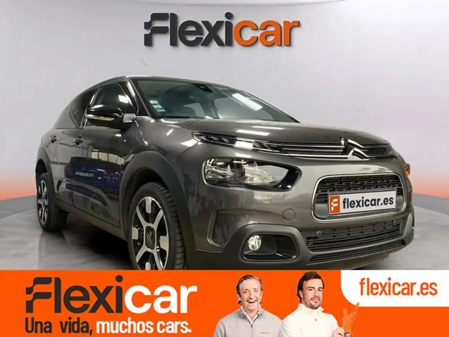 Citroen C4 Cactus BlueHDi+73KW+%28100CV%29+Shine Gris - 1