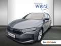 Skoda Octavia Sportline TSI mHEV DSG Grau - thumbnail 1