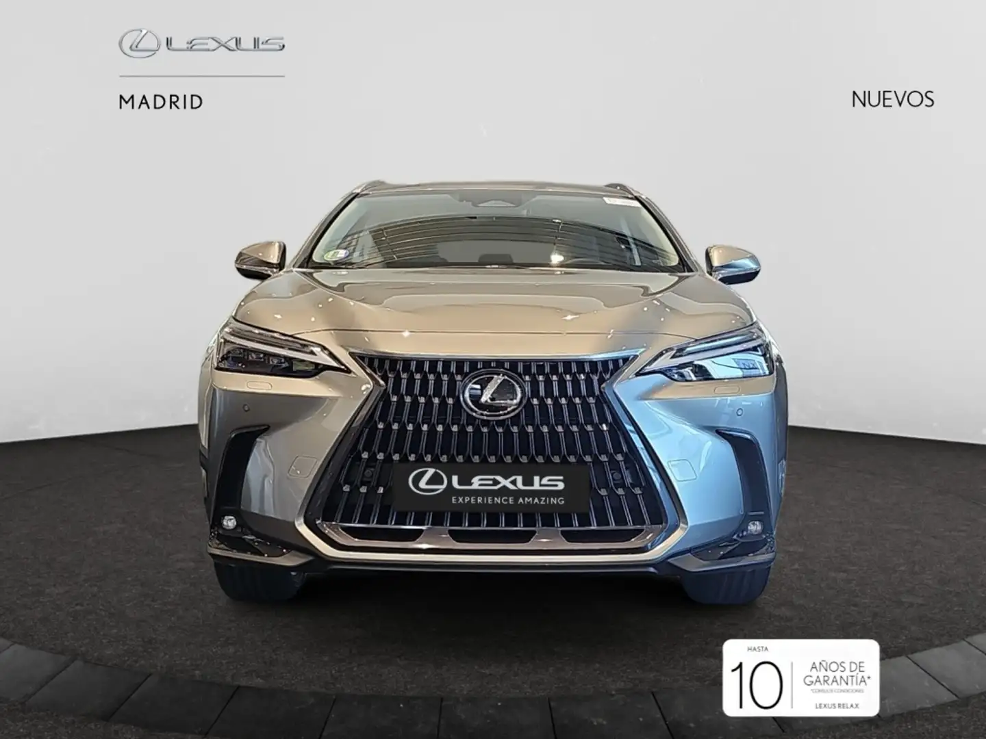 Lexus NX 350h Executive 2WD Gris - 1