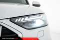 Audi Q5 Sportback 40 TDI quattro S tronic Advanced Bianco - thumbnail 12