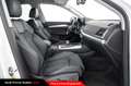 Audi Q5 Sportback 40 TDI quattro S tronic Advanced Bianco - thumbnail 8