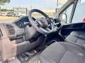 Fiat Ducato 33 MH1 2.2 mjt3 140cv serie 9 Wit - thumbnail 12