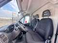 Fiat Ducato 33 MH1 2.2 mjt3 140cv serie 9 Wit - thumbnail 8
