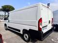Fiat Ducato 33 MH1 2.2 mjt3 140cv serie 9 Wit - thumbnail 5