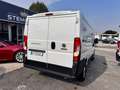 Fiat Ducato 33 MH1 2.2 mjt3 140cv serie 9 Wit - thumbnail 4
