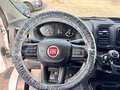 Fiat Ducato 33 MH1 2.2 mjt3 140cv serie 9 Wit - thumbnail 13