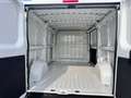 Fiat Ducato 33 MH1 2.2 mjt3 140cv serie 9 Wit - thumbnail 15