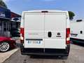 Fiat Ducato 33 MH1 2.2 mjt3 140cv serie 9 Wit - thumbnail 3
