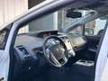 Toyota Prius+ Comfort*7-Sitzer*Head-Up*netto: 11.597€ Weiß - thumbnail 6