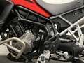 Triumph Tiger 900 GT PRO Rood - thumbnail 17