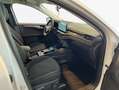 Ford Kuga 2.5 Duratec FHEV TITANIUM Weiß - thumbnail 12