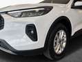 Ford Kuga 2.5 Duratec FHEV TITANIUM Weiß - thumbnail 5