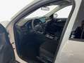 Ford Kuga 2.5 Duratec FHEV TITANIUM Weiß - thumbnail 9