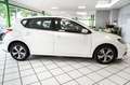 Nissan Pulsar Acenta 1.5 dCi Diesel LED NAVI Weiß - thumbnail 7