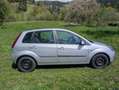 Ford Fiesta Fiesta Ambiente 1,4 16V Ambiente Grau - thumbnail 6
