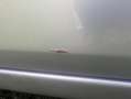 Ford Fiesta Fiesta Ambiente 1,4 16V Ambiente Grau - thumbnail 28