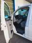 Volkswagen T5 Transporter Kasten 1 Hand Heckscheibe Klima Weiß - thumbnail 10