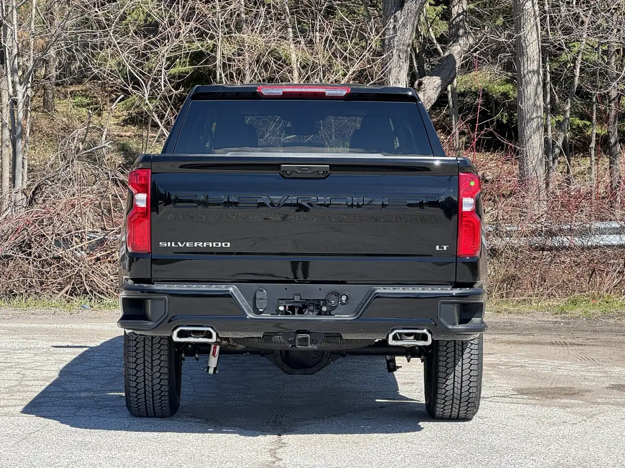 Chevrolet Silverado 1500 снимка Chevrolet Silverado 1500