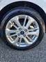 Ford Fiesta Fiesta VII 2022 5p 1.0 ecoboost h Titanium 125cv Bianco - thumbnail 10