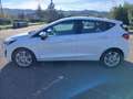 Ford Fiesta Fiesta VII 2022 5p 1.0 ecoboost h Titanium 125cv Bianco - thumbnail 4